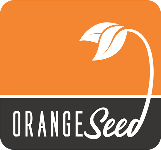 Orange VFX Seed Program